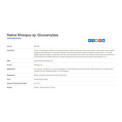 glucoamylase - Products