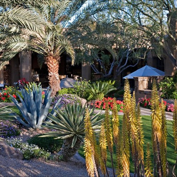 Desert Landscapes