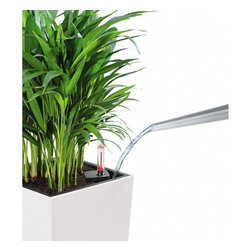 Cubico Premium 50 - Indoor Pots And Planters