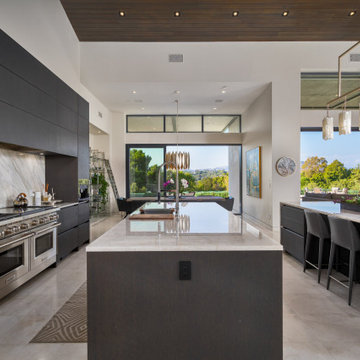 San Elijo Cool Modern