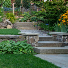 Landscape Ideas