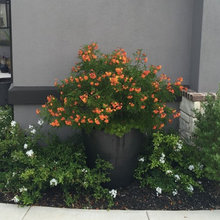 new parking area