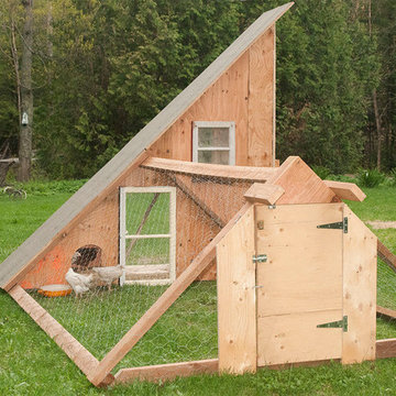 Chicken Coop