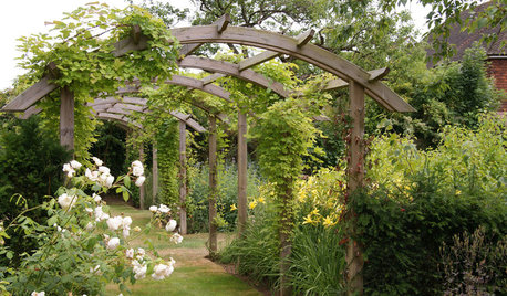 8 Ways to Add Character to a New-build Garden