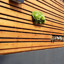 Garden Ideas