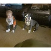 Kim Stephens's photo