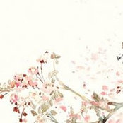 Lina Xu's photo