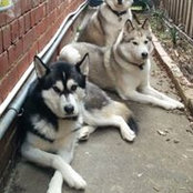 Paul Gower's photo