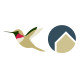 Novell Design Build Novell Design Build