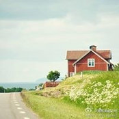 Kalina Chen's photo