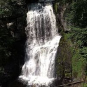 Sharon Peck's photo