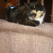 Kathy Dinan's photo