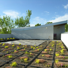Lija