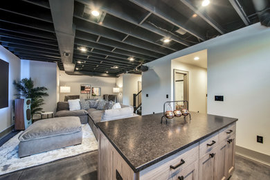 Basement - modern basement idea in Columbus