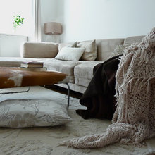 Living Room Ideas