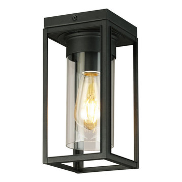 Walker Hill 1-Light Outdoor Ceiling Light, Matte Black, Matte Black