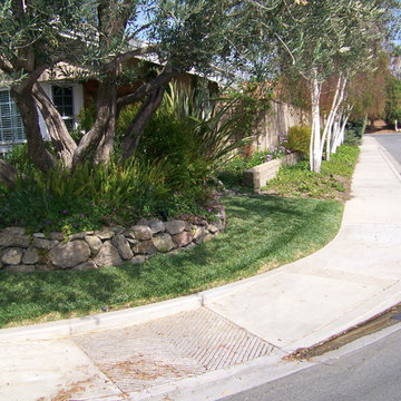 Lawn Replacement Thousand Oaks