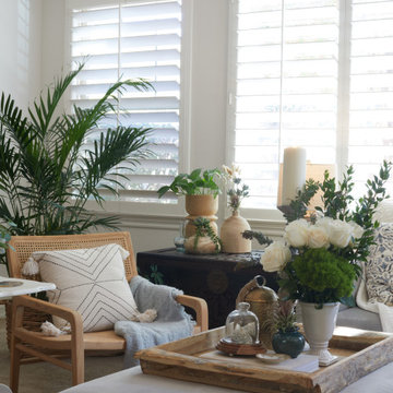 San Elijo Hills Furnishing Project