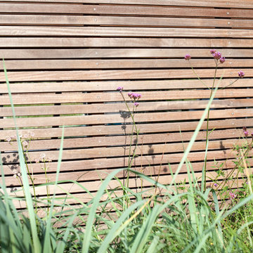 Dune garden in Katwijk | Holland