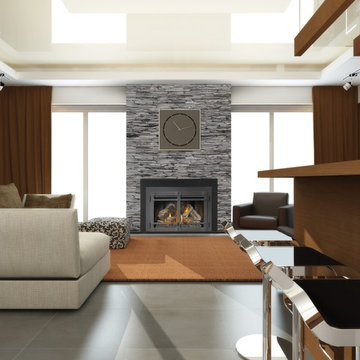 Napoleon XIR4 Gas Fireplace Inserts