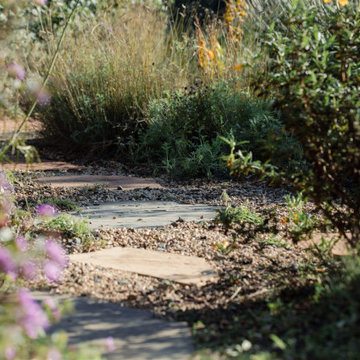 Mariposa Gardening & Design Winter