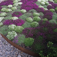 Plantering