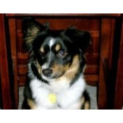 Barbara Ann Tutone's photo