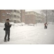 Ivon Guo's photo
