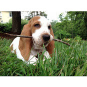 Carrie Coulson's photo