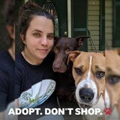 Amanda Gratia's photo