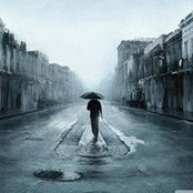 Ayman Sanad's photo