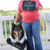 Erica Rosenberg's photo