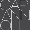 Foto di profilo di Capannoli srl