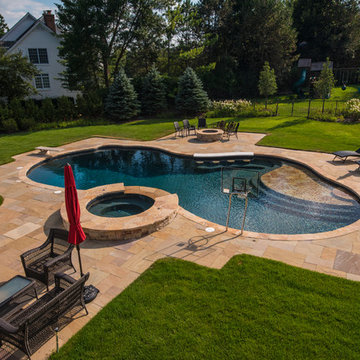Freeform Pool in Libertyville, IL