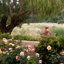 Rose Garden