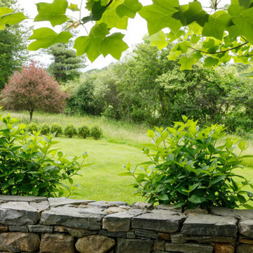 Mature Garden