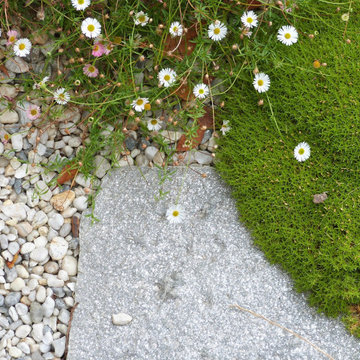 Jardin Clos par Landscapes et Cie - Image 6