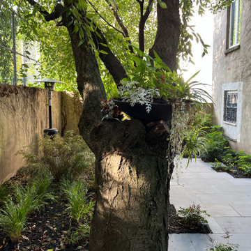 Modern Urban Shade Garden