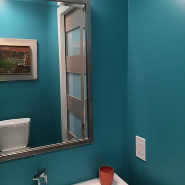Color Consulting - Hillsborough Contemporary
