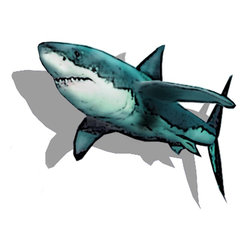Shark in My House - Fine Art Prints
