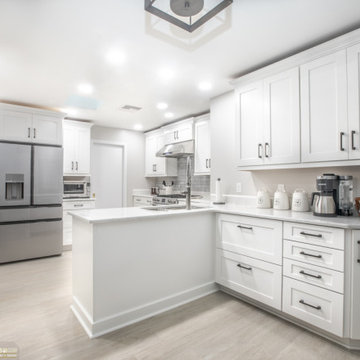Robinson Orlando Zelmar Kitchen & Flooring Remodel