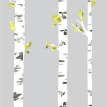 Wall Decal