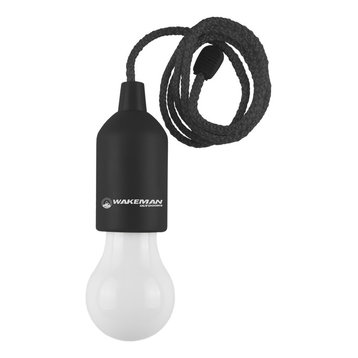 Portable LED Outdoor/Indoor Hanging Bulb Lantern Wakeman Outdoors, Black