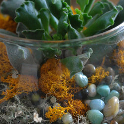 Micro-Gardens - Products