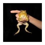 Lana Kelley's photo