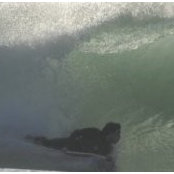 Nipper Stien's photo