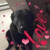 Tinna Davis's photo