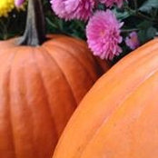 Cynthia Polihrom's photo
