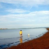 Morgan Bell's photo