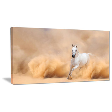 "Arabian Horse in Desert Storm" Photography Canvas Art Print, 32"x16"